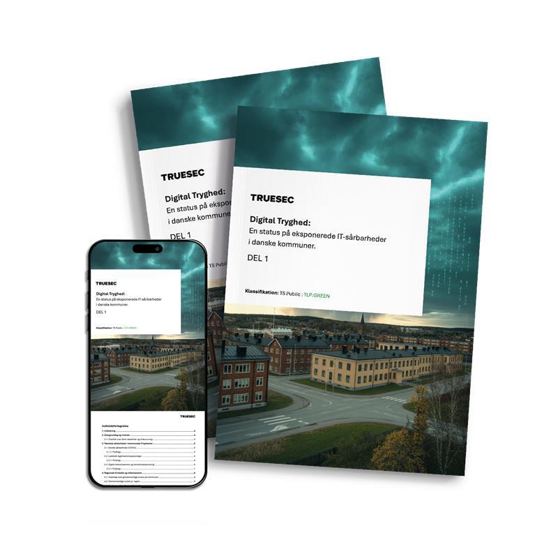trygghetsrapport-DK